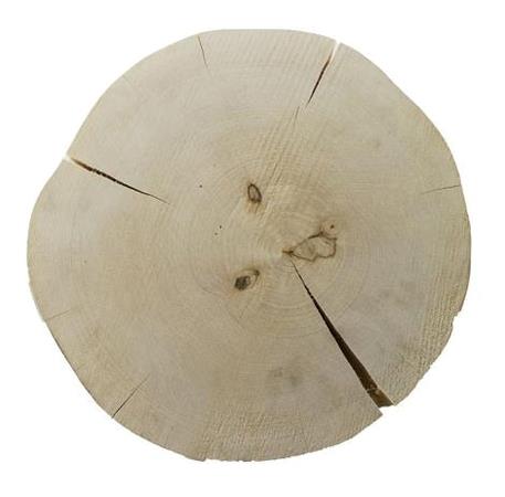 Planke i Ask uden bark Diam 260 x H50 mm Unika 