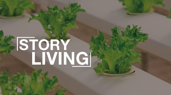 Story living er en trend, hvor den gode historie leves
