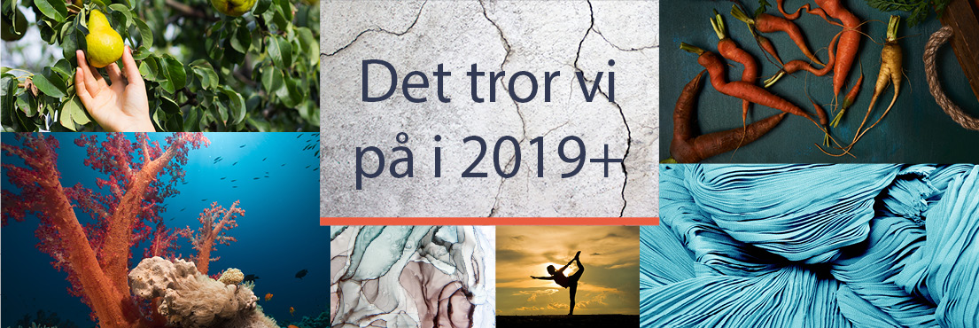Trends i de danske storkøkkener 2019+